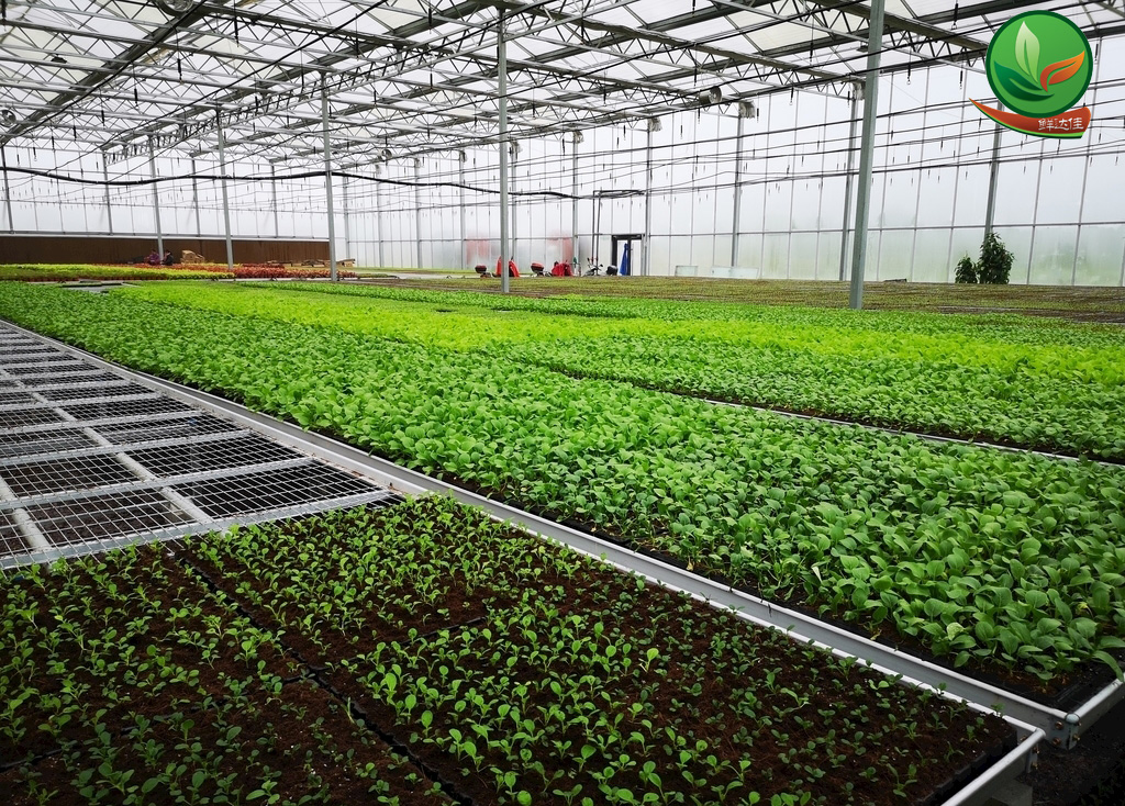 英德農(nóng)業(yè)基地